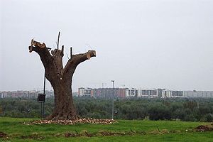 Aeroporto bari vista