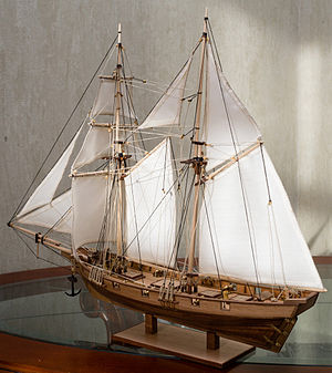 1:55 scale model Albatros Scale Model.jpg