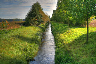 Albrechtowka pola Krakec