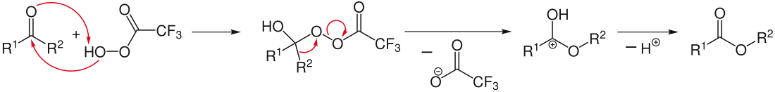 Baeyer-Villiger-Oxidation