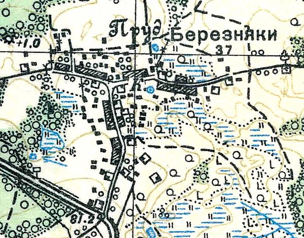 План деревни Березняки. 1938 год