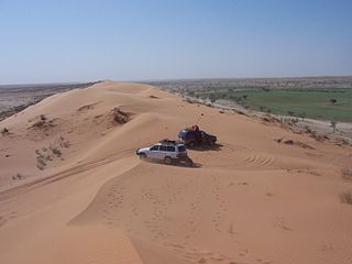 Vinayak Desert Safari