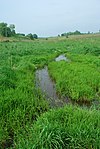 Borah Creek Prairie.jpg