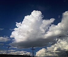 Cumulus mediocris cloud, about to turn into a cumulus congestus Cumulus mediocris atmospheric instability 01.jpg