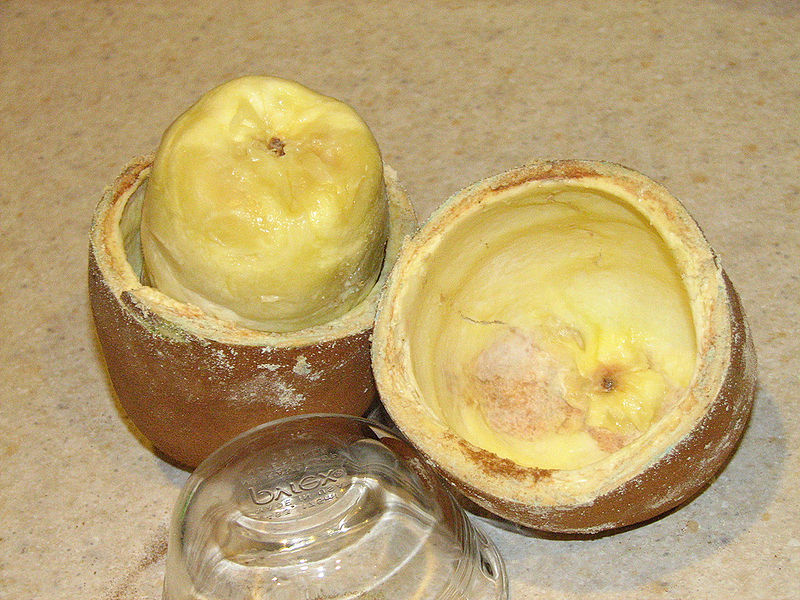 File:Cupuacu fruit opened.jpg