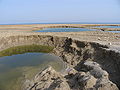 Basses a Mineral Beach