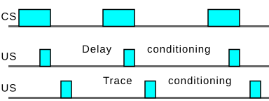 Diagram representing forward conditioning. The time interval increases from left to right. Delay,trace conditioning.svg