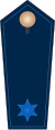 Deutsche Bundespolizei - Mittlerer Dienst 02.svg