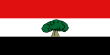 Vlag