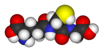 Space-filling model of glutathione