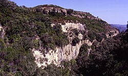 Gola di "Strumpu Costedda" nel Poligono di Quirra. All'interno della gola si apre il "Ramo Serra" della grotta de "Is Angurtidorgius" (it. gli inghiottitoi), il principale sistema carsico, lungo circa 11 km, che si estende sotto il poligono militare