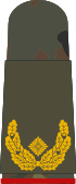 HA OS5 61 Brigadegeneral.svg