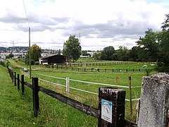 L'Hippodrome.