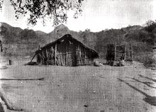 Twentieth-century Bolivian Guaraní hut built from reeds and palm fronds