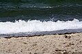 Wellen am Strand, (16)