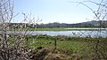 Naturschutzgebiet Kiebitzwiese UN-041 in Fröndenberg