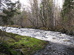 Långforsen Järleån.JPG