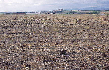 Els Plans de Sió (Segarra), 3 d'octubre de 2003