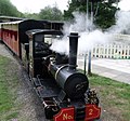 'Muffin' at East Wheal Rose railway station