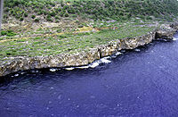 Ekoloji: Navassa Island gen yon litoral apik ak wòch ki bag zile a.
