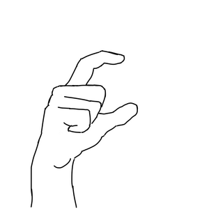 Polish Sign Language - letter C