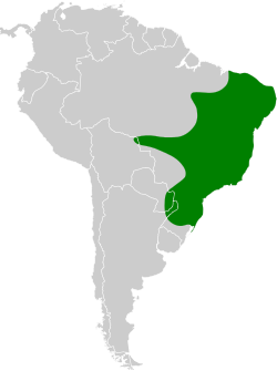 Distribución geográfica del mosquerito oliváceo.