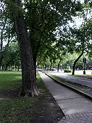 Vía ciclista del Parque Lafontaine