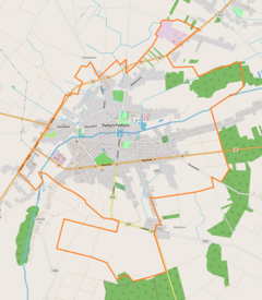 Mapa lokalizacyjna Radzynia Podlaskiego