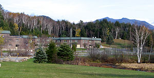 McKenzie Mountain in background.