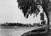 StateLibQld 1 117580 View of East Brisbane from New Farm Park, ca. 1930.jpg