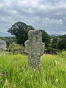 A small weathered cross in the middle of grass in the graveyard.