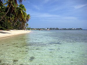 English: Beach in Tobago