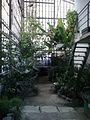 Az Ungvári botanikus kert üvegháza