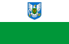 Flag of Viljandi apriņķis