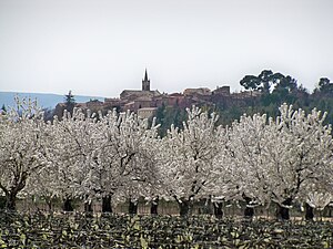 English: Cherry trees field near Villars, Vauc...