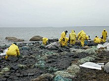 Nettoyeurs en combinaisons jaune sur une plage mazoutée.