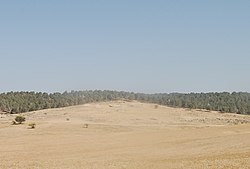 הגבעה שעליה מפוזרים השרידים של חירבת א-שמסאניאת