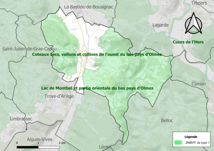 Carte des ZNIEFF de type 1 sur la commune.