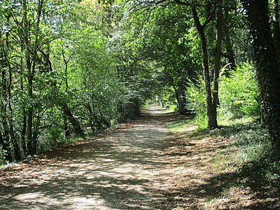 Le sentier peu après la Grande grotte…