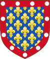 Blason