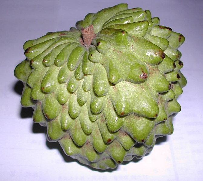 File:Atemola (cross of Annona cherimola and Annona squamosa).jpg