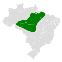 Distribución geográfica del ticotico de Pará.