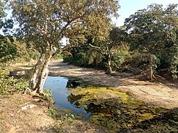 Bamar River at Alapalli.jpg