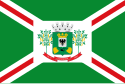 Capanema – Bandiera