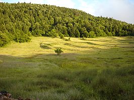 Nationaal park Bredhi i Hotovës-Dangelli