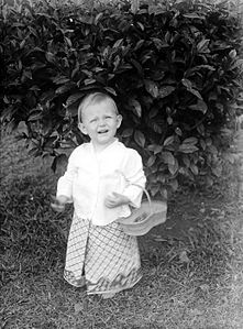 Retrato de un niño en indo sarong y kabaja (antes de 1931)
