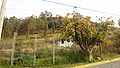 Ladera del Cerro de Moctezuma.