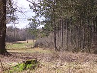 Ofwikseling fan bosk en iepen terrein