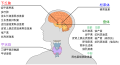 2015年11月14日 (六) 11:49版本的缩略图