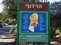 תמונה ממוזערת לגרסה מ־14:41, 3 בנובמבר 2018